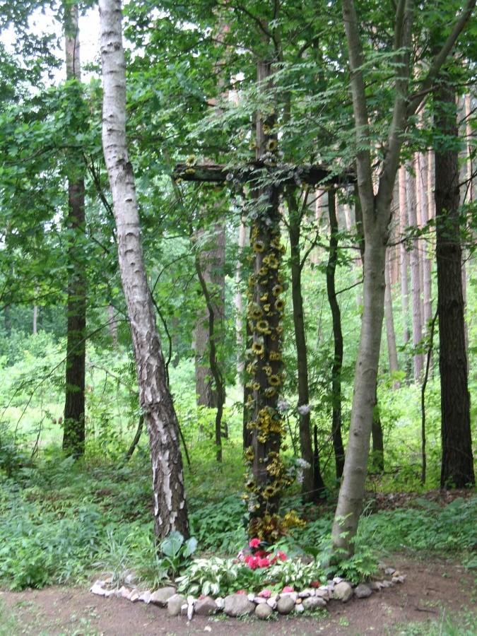 przydrożny krzyż szosa Wągrodno- Jazgarzew