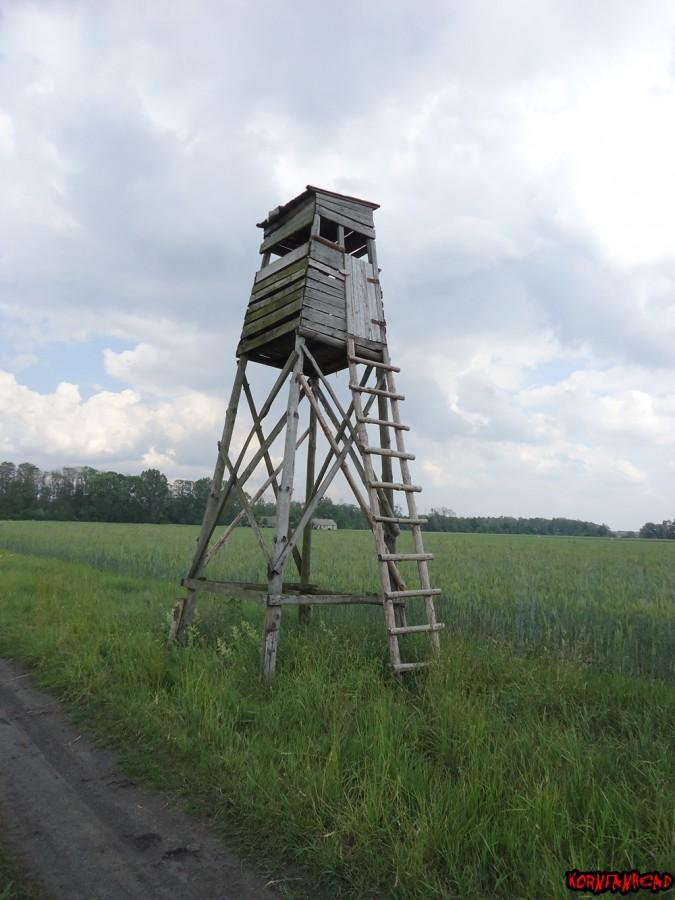 Pierwsza ambona na jaką się dzisiaj natknąłem