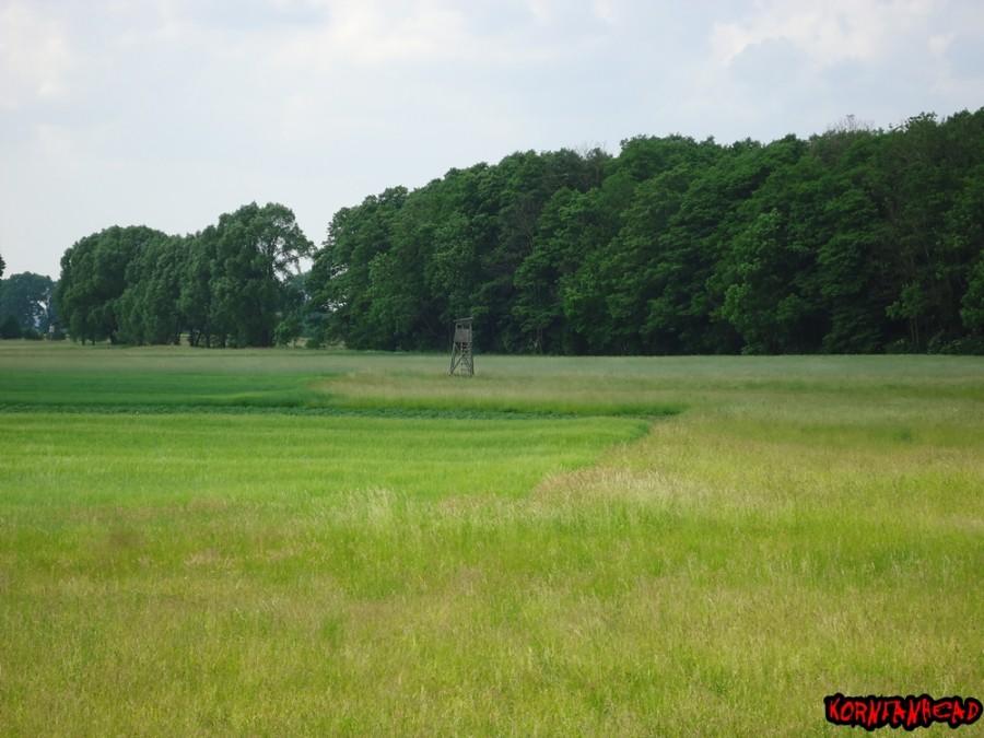 Widok z drugiej ambony na kolejną. Ale tam już się nie pchalem.