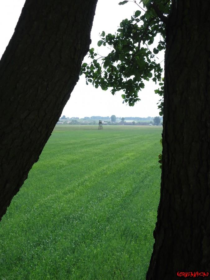 I jeszcze widok z tej drugiej na pierwszą jaką odwiedziłem. Swoją drogą zaciekli są Ci myśliwi skoro tyle ich ponastawiali.