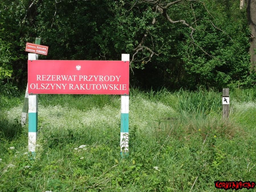 Potem udałem się tutaj.