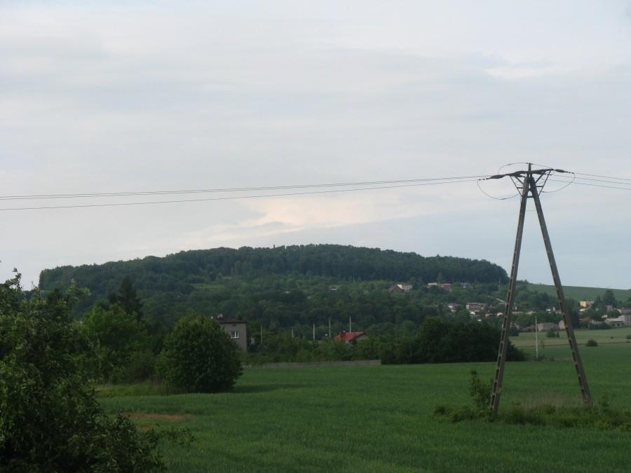 Dorotka