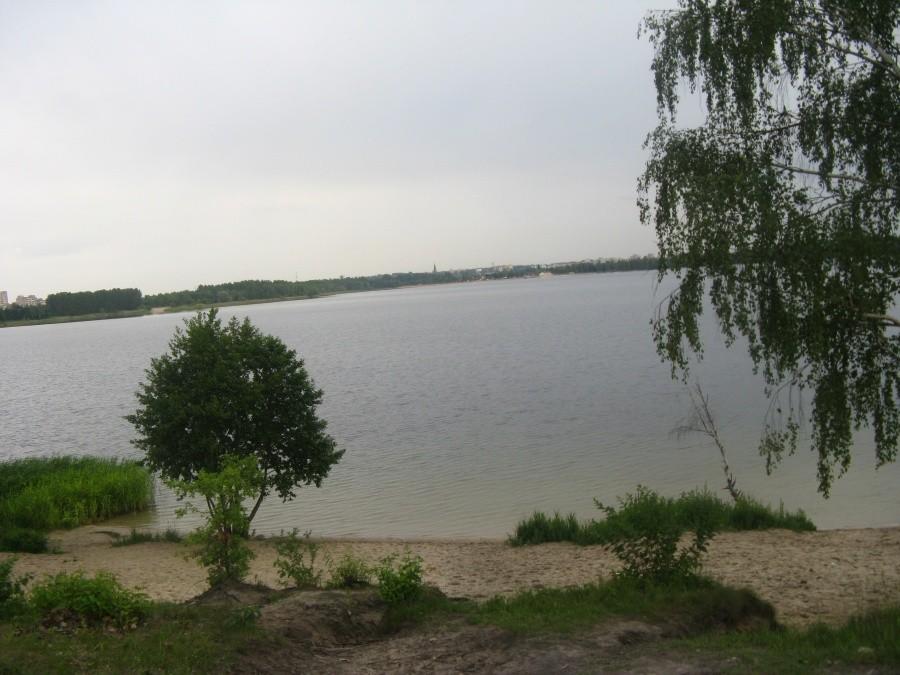 Pogoria