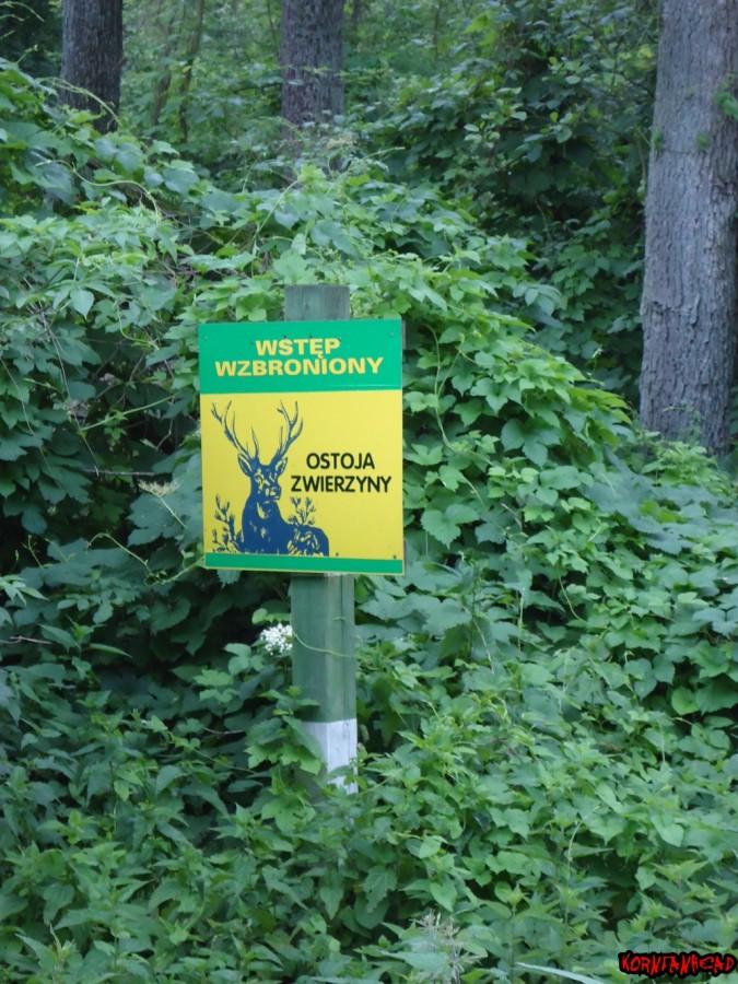 No więc nie wchodziłem.