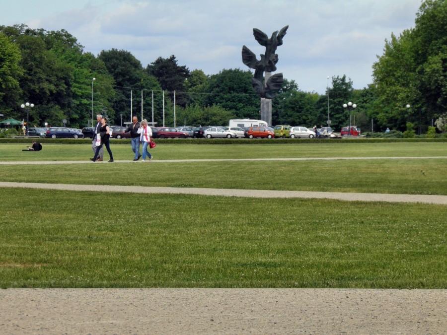 Jasne Błonia 14 czerwca 12 r. przed południem.