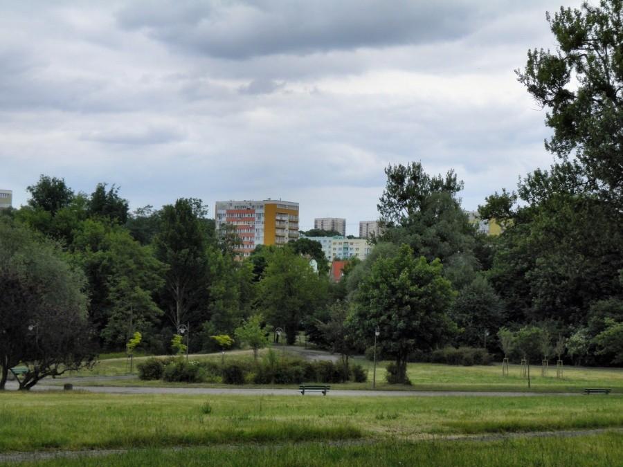 Widok z ulicy Kochanowskiego na park oraz bloki na Osiedlu Arkońskim.