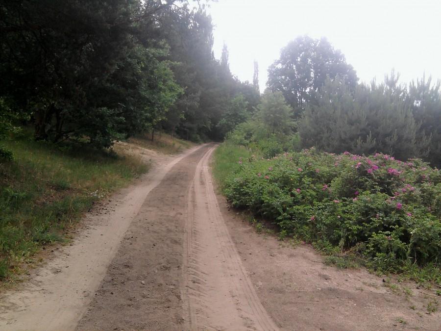 Terenowy odcinek w dzielnicy Piaski