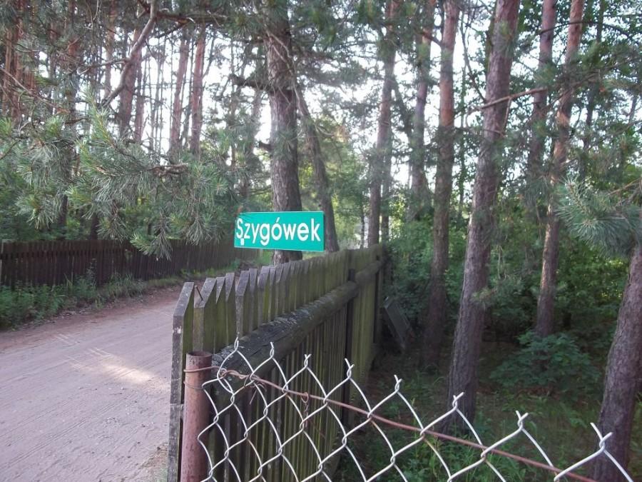 Szygówek...
