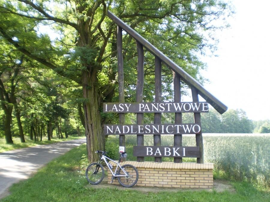 Nadleśnictwo Babki