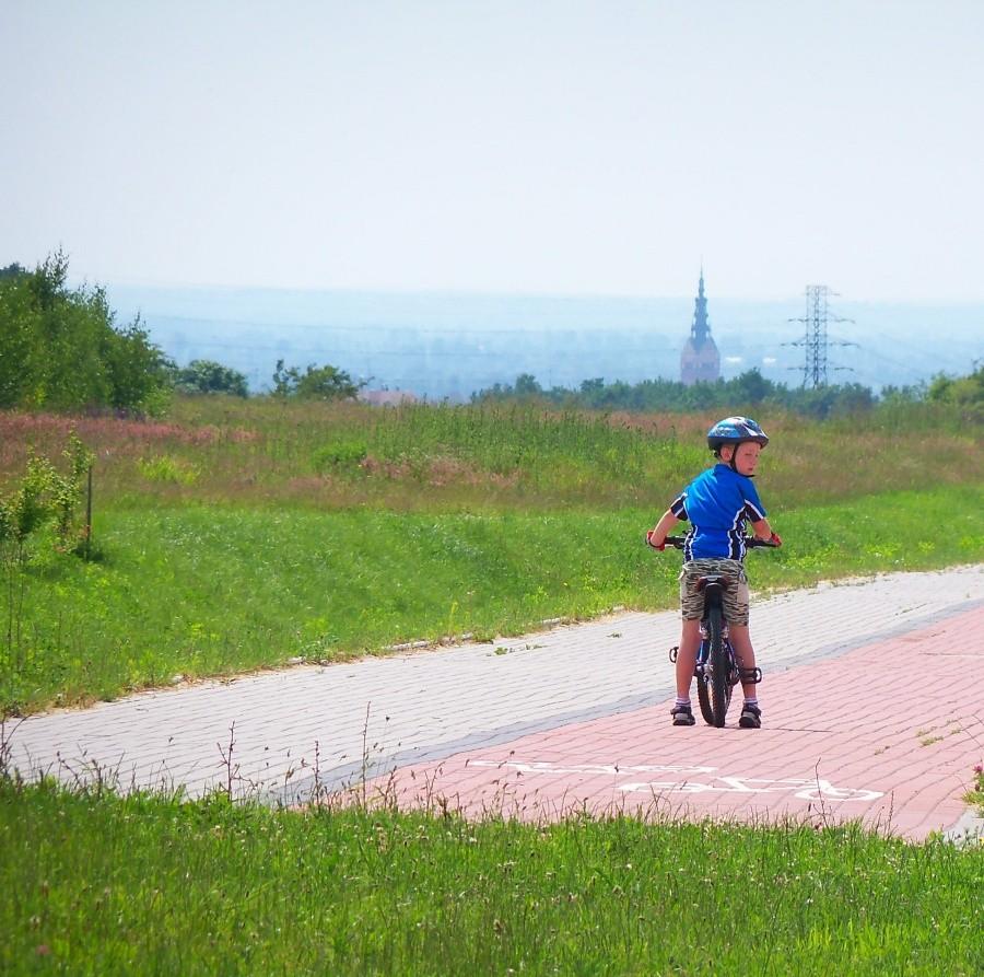 WIDOK z MODRZEWINY