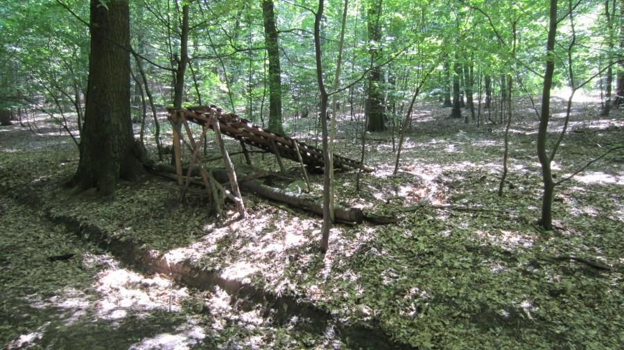 Widać ze miejscowi lubią skakać - Las Osola