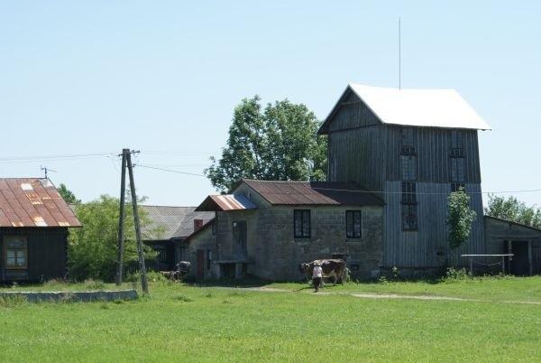 młyn w Psarach