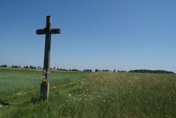 krzyż w polu