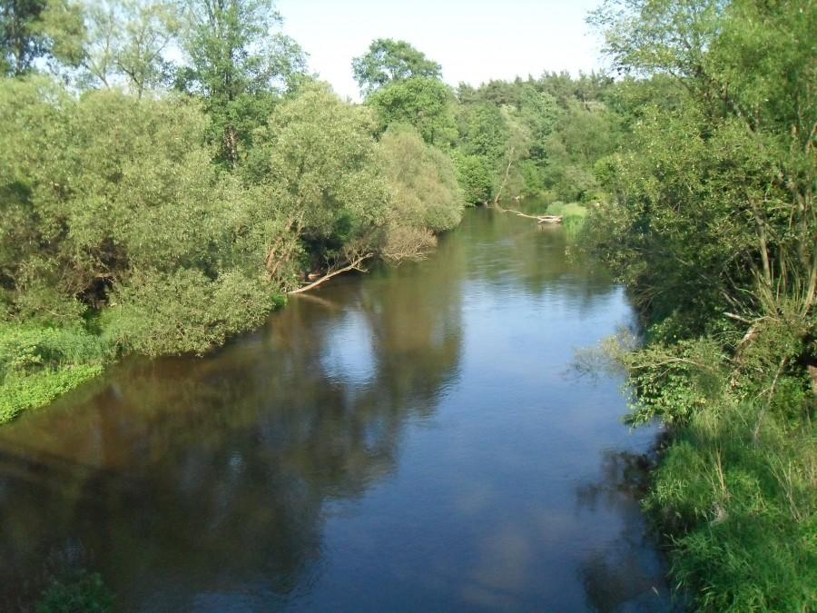 warta w ważnych młynach