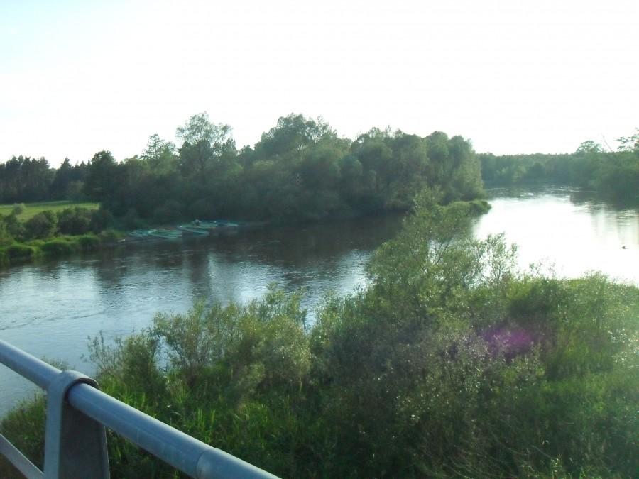 warta w wąsoszu
