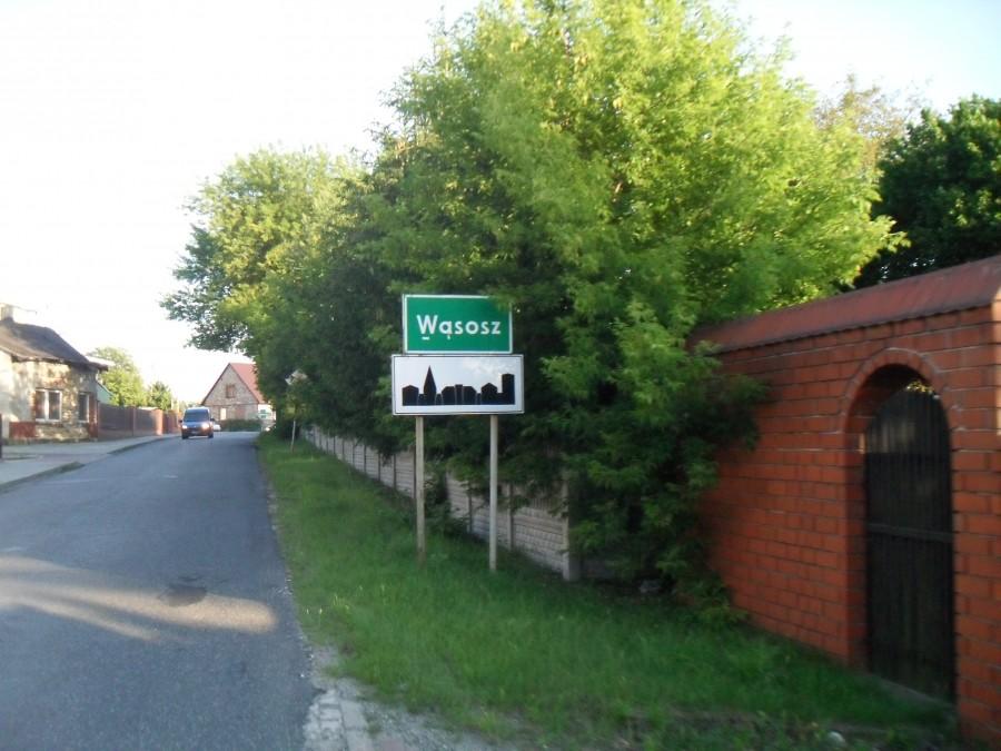 wąsosz