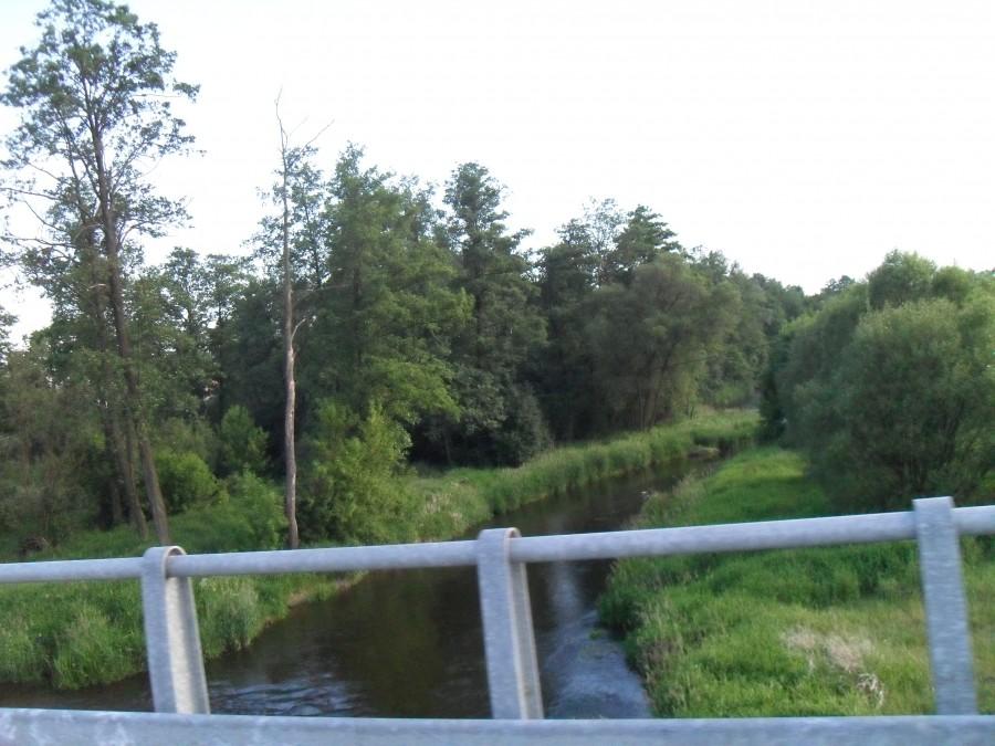 liswarta w zawadach