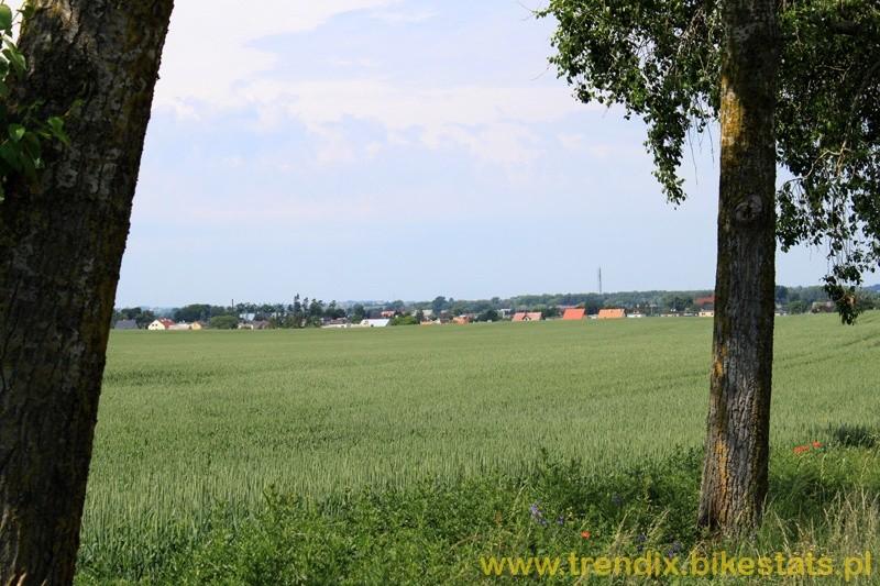 Widok na Gąsawę od strony Szelejewa