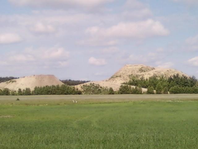 Hałdy