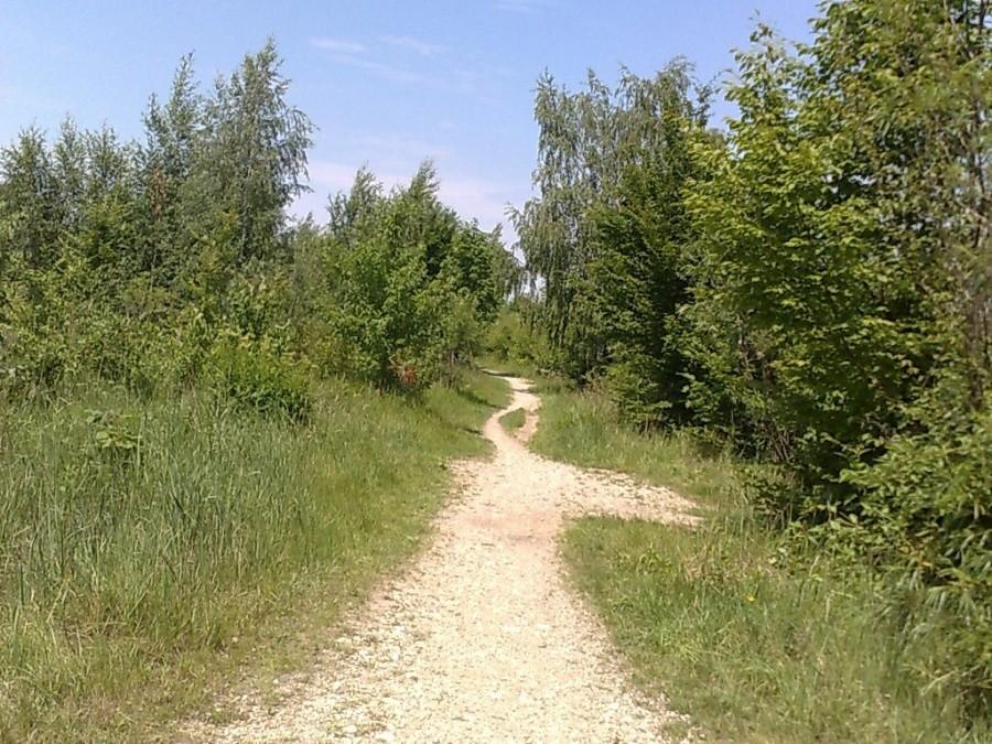 Ścieżka przy Jeziorze Hlucińskim