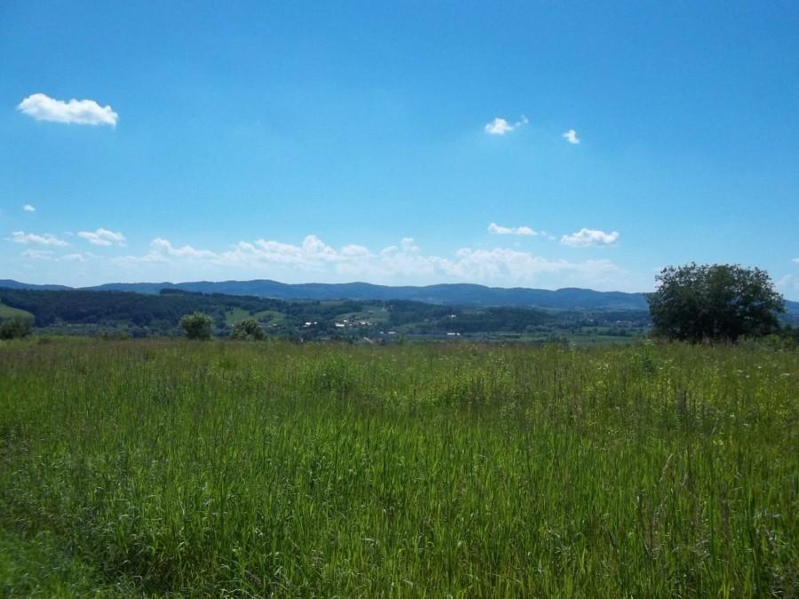 pogórza Strzyżowskie