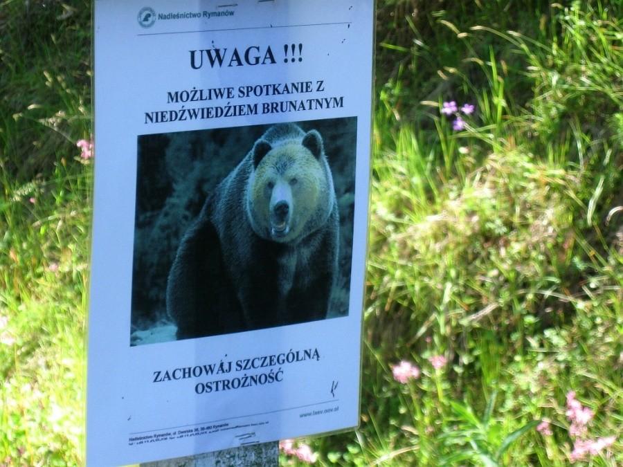 Fajne ostzreżenie.