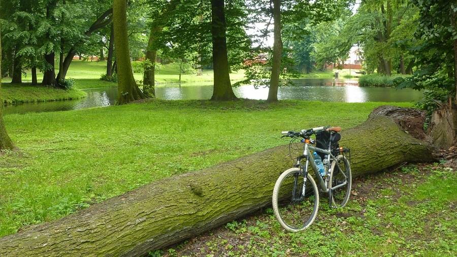 Park w Ujeździe