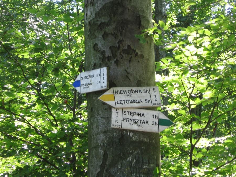 Bardo, 3 szlaki