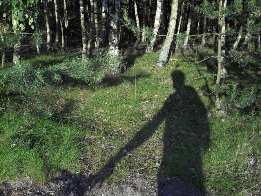 Pozdrowienia od cienia z brzozowego lasku.