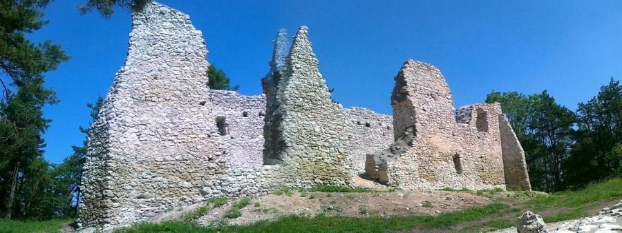Panorama zamku Bydlin.