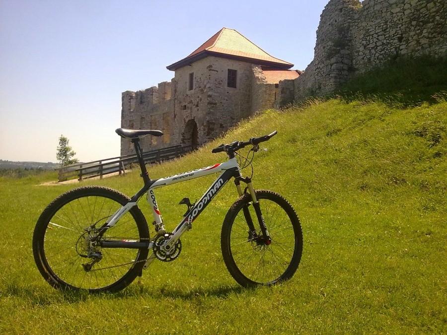 Zamek Rabsztyn I.