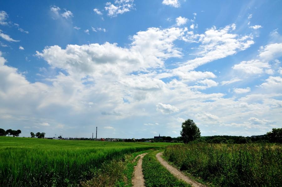 Panorama Pelplina