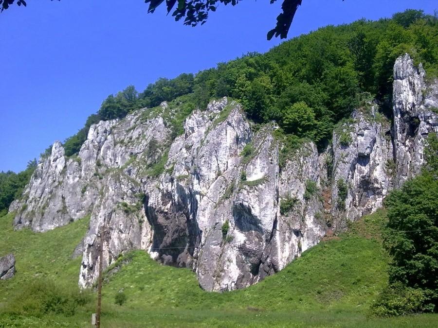 W Dolinie Prądnika.