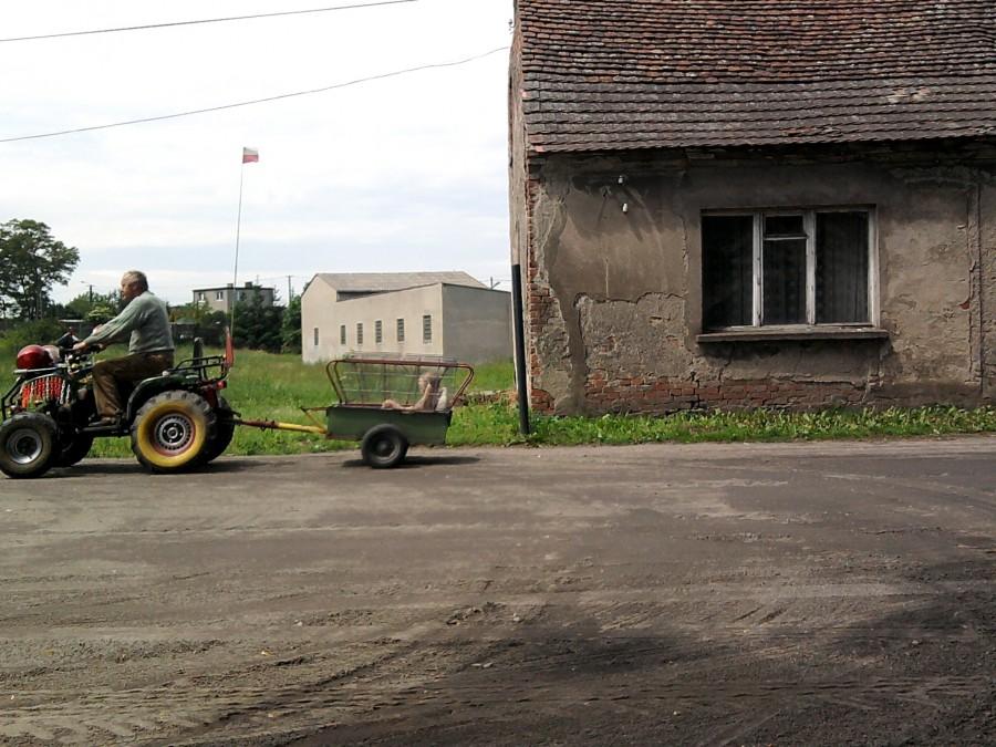 Pomysłowość Polaków nie zna granic (Mąkowarsko, woj. kujawsko-pomorskie)