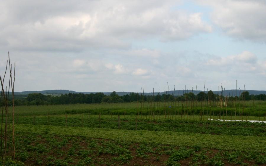 Roztoczańskie górki już się pojawiają