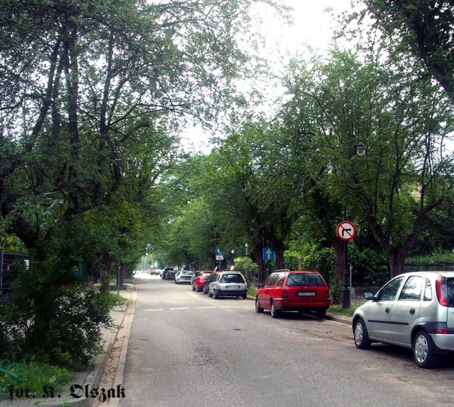 Filtrowa w zieleni