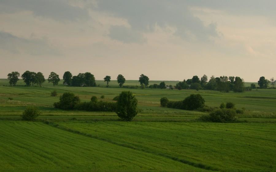 Widok z kopca