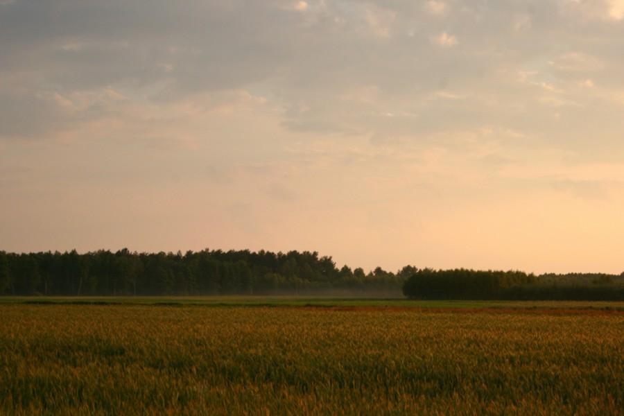 Zachodzące słońce zrobiło mały pokaz nad okolicznymi polami