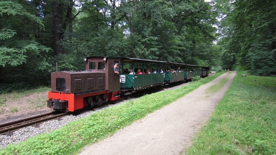 Pociąg wycieczkowy w Bad Muskau