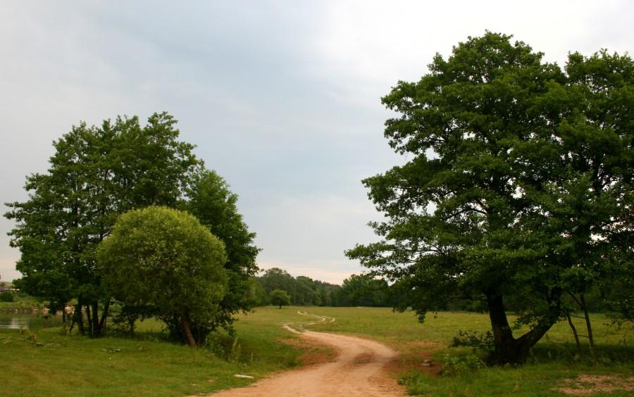 Dróżka nad Bugiem