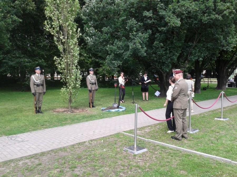 Dąb Pamięci - 220 rocznica ustanowienia orderu Virtuti Militari