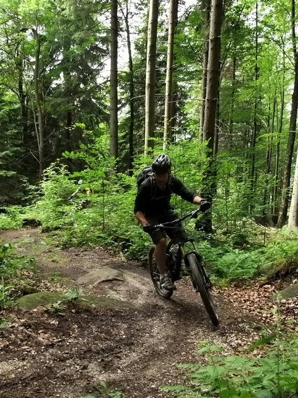 Rychlebské stezky