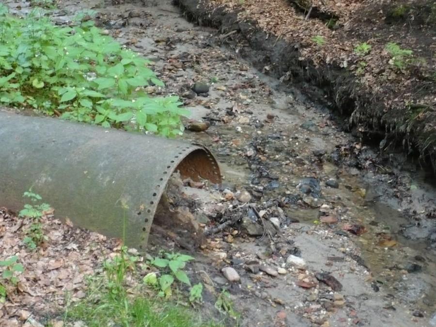 Norka?