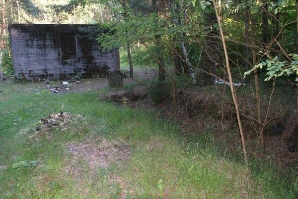 ukończone obiekty zamaskowano, montując na nich atrapy drzew