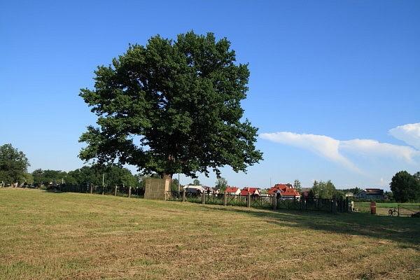 Cmentarz z I wojny nr 246 Radgoszcz
