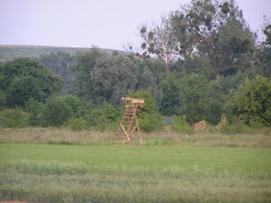 Ambona na Janówku