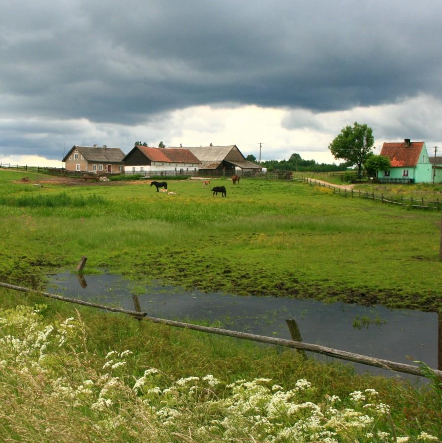 Standardowy widok na mazurach