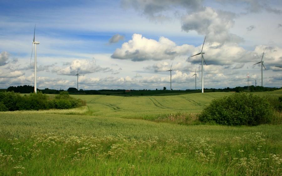 Wiatraki za Gołdapią
