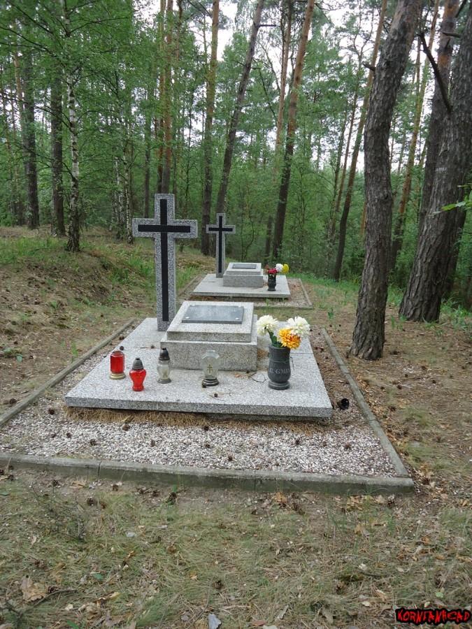 A oto obiekty moich poszukiwań. W końcu się udało. A byłem już bliski rezygnacji z eksplorowania lasu.