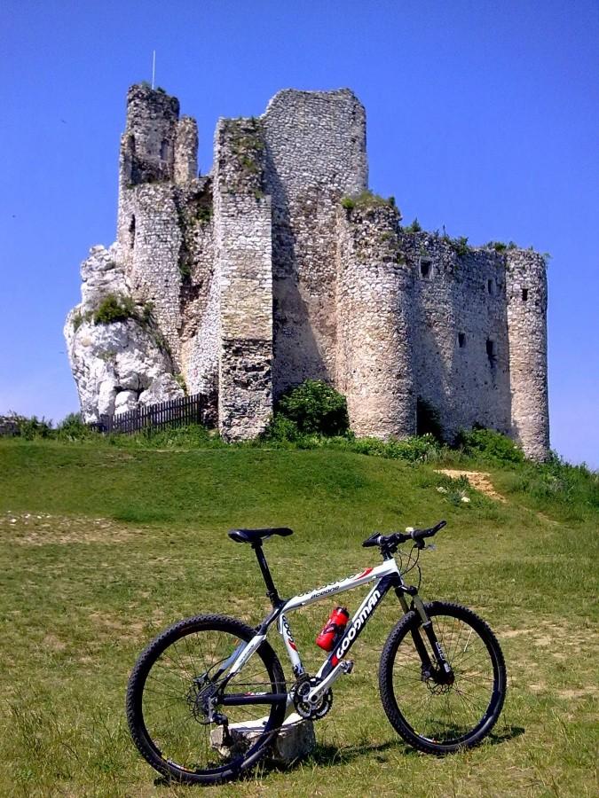 Zamek w Mirowie IV.